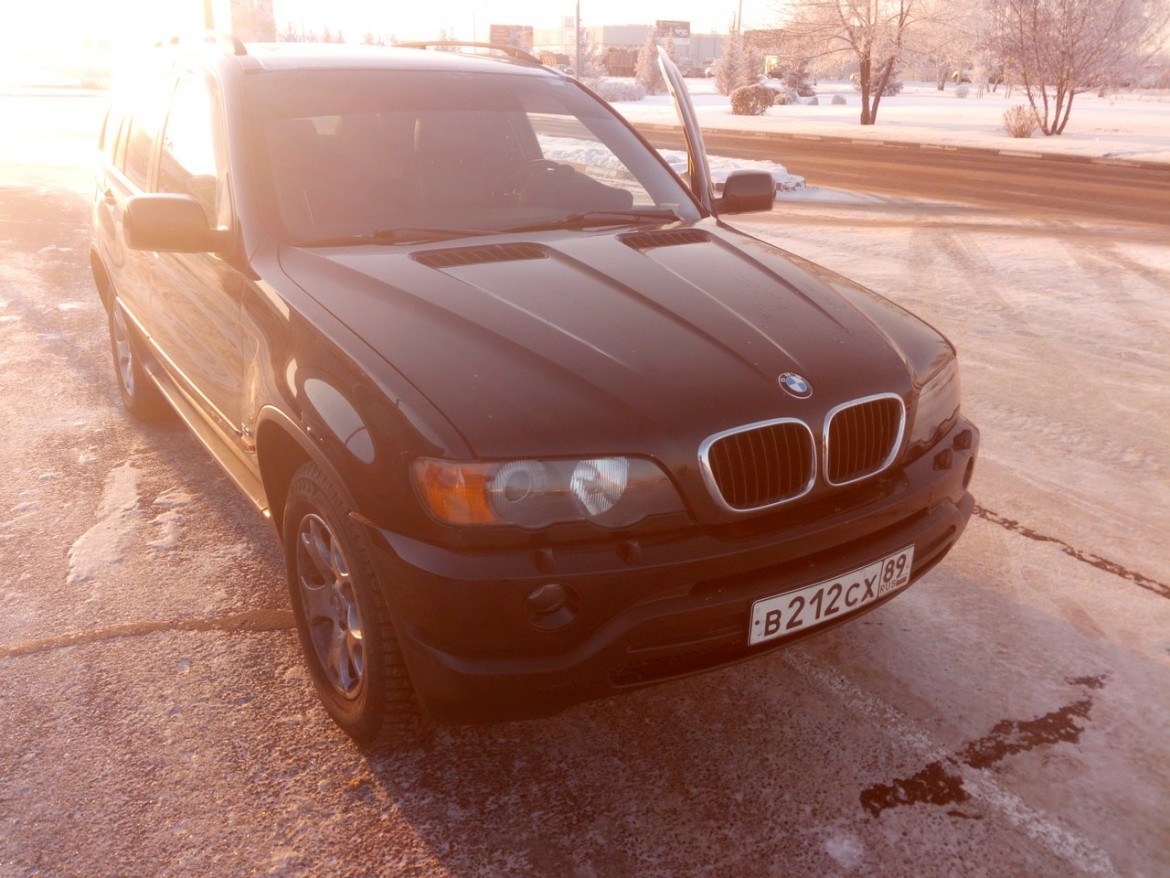 BMW X5 E53 231л.с. комплексное удаление «экологии» ЧипОмск